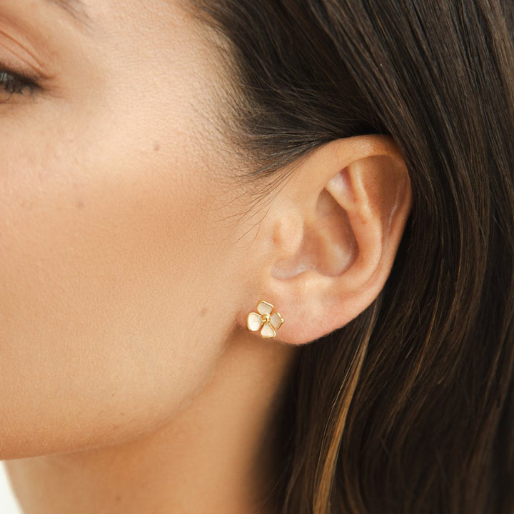 Pendientes de flores florecientes
