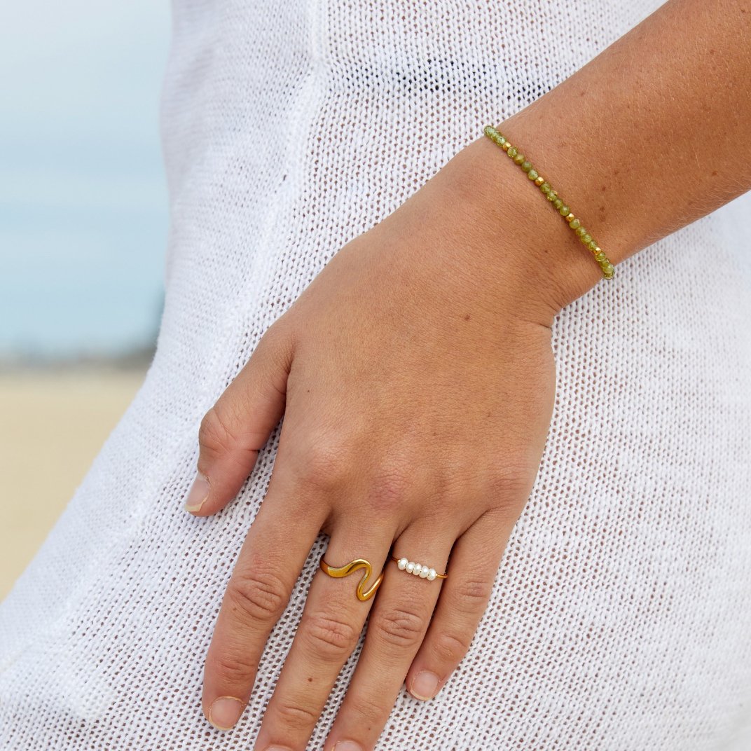 Silva - Anillo de agua dulce