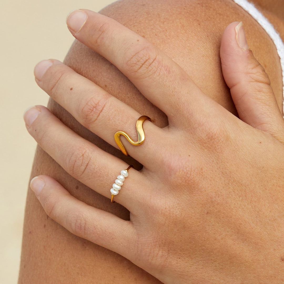Silva - Anillo de agua dulce